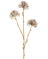 Drie bruine stelen van de Kunstbloem Mini Allium 60 cm crème/bruin strekken zich naar boven uit, elk met aan het uiteinde een rond trosje kleine, subtiele crèmekleurige en bruine knoppen tegen een effen witte achtergrond. Het geheel oogt minimalistisch en natuurlijk.