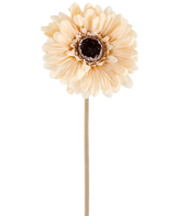 De Kunstbloem Gerbera 53 cm crème/bruin bestaat uit één enkele lichtperzikkleurige kunstgerbera met gelaagde bloemblaadjes en een donkerbruin hart op een lange, slanke steel, afgebeeld tegen een effen witte achtergrond.