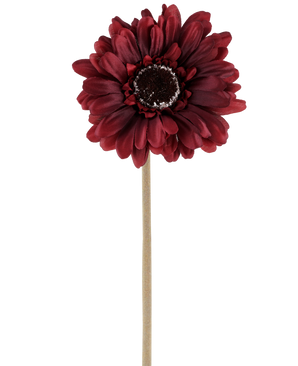 De Kunstbloem Gerbera 53 cm bordeaux bestaat uit één kunstgerbera in een rijke, donkerrode tint met gelaagde bloemblaadjes en een bruin hart, bevestigd aan een lange, rechte, lichtgekleurde steel en gepresenteerd tegen een effen witte achtergrond.