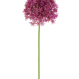 Een enkele lange steel van de Kunstbloem Paardenbloem 63 cm fuchsia draagt een ronde tros kleine, stervormige, fuchsia bloemen tegen een witte achtergrond.