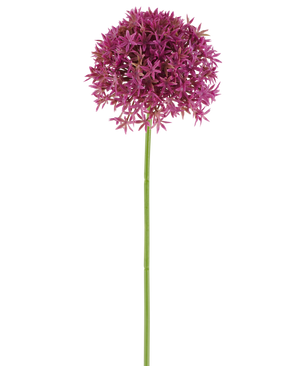 Een enkele lange steel van de Kunstbloem Paardenbloem 63 cm fuchsia draagt een ronde tros kleine, stervormige, fuchsia bloemen tegen een witte achtergrond.