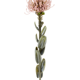 Een enkele stengel van de Kunstbloem Protea 61 cm mauve, met ovale groene bladeren en een ronde, stekelige licht mauve-roze bloem aan de top, afgebeeld tegen een effen witte achtergrond.