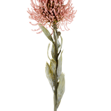 Kunstbloem Protea 60 cm oudroze met puntige roze bloemblaadjes en groene bladeren aan een lange steel, afgebeeld tegen een effen witte achtergrond.