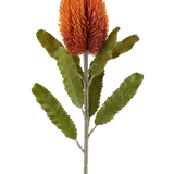 Een enkele Kunstbloem Banksia van 65 cm in oudoranje heeft een grote, stekelige, oudoranje bloem aan de top van een stevige steel, met verschillende langwerpige, gekartelde groene bladeren die symmetrisch langs de steel zijn gerangschikt, allemaal tegen een witte achtergrond.