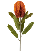 Een enkele Kunstbloem Banksia van 65 cm in oudoranje heeft een grote, stekelige, oudoranje bloem aan de top van een stevige steel, met verschillende langwerpige, gekartelde groene bladeren die symmetrisch langs de steel zijn gerangschikt, allemaal tegen een witte achtergrond.