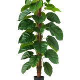 De Kunstplant Epipremnum aureum 150 cm is een hoge kunstplant met grote, glanzend groene bladeren, gepresenteerd in een zwarte pot tegen een effen witte achtergrond.