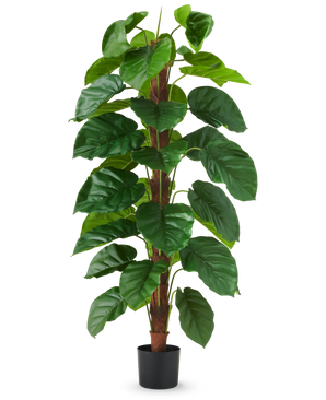 De Kunstplant Epipremnum aureum 150 cm is een hoge kunstplant met grote, glanzend groene bladeren, gepresenteerd in een zwarte pot tegen een effen witte achtergrond.