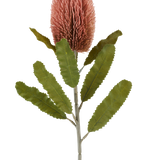 Een enkele stengel van de Kunstbloem Banksia 65 cm oudroze heeft een grote, roze, cilindervormige bloem en lange, gekartelde groene bladeren die afsteken tegen een witte achtergrond.