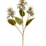 Een enkele stengel van Kunstbloem Saffloer 57 cm crème/bruin, met drie puntige, ronde, lichtbruine bloemen en enkele groene bladeren, afgeschilderd op een witte achtergrond.