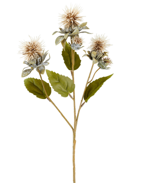 Een enkele stengel van Kunstbloem Saffloer 57 cm crème/bruin, met drie puntige, ronde, lichtbruine bloemen en enkele groene bladeren, afgeschilderd op een witte achtergrond.