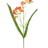Een enkele steel van de Kunstbloem Freesia 56 cm oranje, met lange, smalle groene bladeren en meerdere oranje freesiabloemen in bloei aan de bovenkant, afgebeeld tegen een witte achtergrond.
