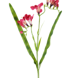 Een kunstbloem: freesia van 56 cm in fuchsia, met levendige fuchsia bloemen en twee lange, slanke groene bladeren, afgebeeld op een witte achtergrond.