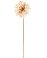 Een enkele Kunstbloem Mini Gerbera in crème/bruin, met gelaagde bloemblaadjes en een lange, dunne steel van 47 cm, gecentreerd tegen een witte achtergrond.