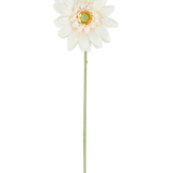 De Kunstbloeme Mini Gerbera 47 cm crème is een enkele kunstbloem in een crèmewitte tint, met gelaagde bloemblaadjes en een groen hart, bevestigd aan een lange, rechte groene steel en gepresenteerd tegen een effen witte achtergrond.
