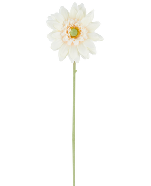De Kunstbloeme Mini Gerbera 47 cm crème is een enkele kunstbloem in een crèmewitte tint, met gelaagde bloemblaadjes en een groen hart, bevestigd aan een lange, rechte groene steel en gepresenteerd tegen een effen witte achtergrond.