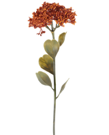 Een enkele Kunstbloem Sedum van 46 cm in verweerd oranje, met trossen kleine roodoranje bloesems en enkele groene blaadjes, afgebeeld op een witte achtergrond.