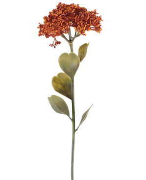 Een enkele Kunstbloem Sedum van 46 cm in verweerd oranje, met trossen kleine roodoranje bloesems en enkele groene blaadjes, afgebeeld op een witte achtergrond.