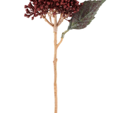 Een enkele Kunstbloem Gedroogde Hortensia in bordeauxrood, met een lengte van 38 cm, met gedroogde roodbruine bloemblaadjes, een trosje kleine knoppen en één groen blad aan een lange, slanke steel, staat afgebeeld tegen een witte achtergrond.