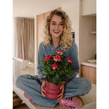 Een glimlachende vrouw met krullend blond haar zit in kleermakerszit op een aanrecht en houdt een Kunstplant Gardenia UV van 39 cm in fuchsia vast. Ze draagt een spijkeroutfit en roze sneakers.