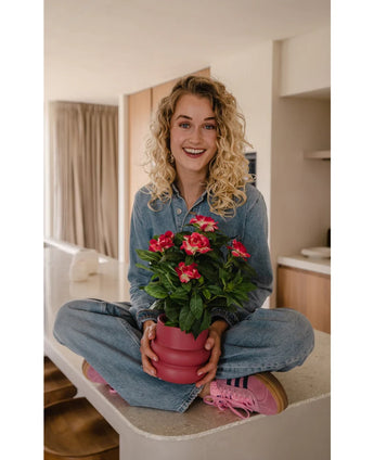 Een glimlachende vrouw met krullend blond haar zit in kleermakerszit op een aanrecht en houdt een Kunstplant Gardenia UV van 39 cm in fuchsia vast. Ze draagt een spijkeroutfit en roze sneakers.