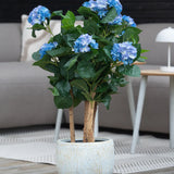 Een Kunstplant Hortensia UV 85 cm blauw met blauwe bloemen en groene bladeren staat op een houten vloer voor een grijze bank en een klein rond tafeltje met een witte lamp.
