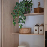 Een keukenplank met daarop de Kunst Hangende Fittonia groen-wit in pot (70 cm), een hangplant, naast een rieten mand, twee potten met etiketten en een klein apparaatje eronder, dit alles tegen een achtergrond van lichte houten kasten.