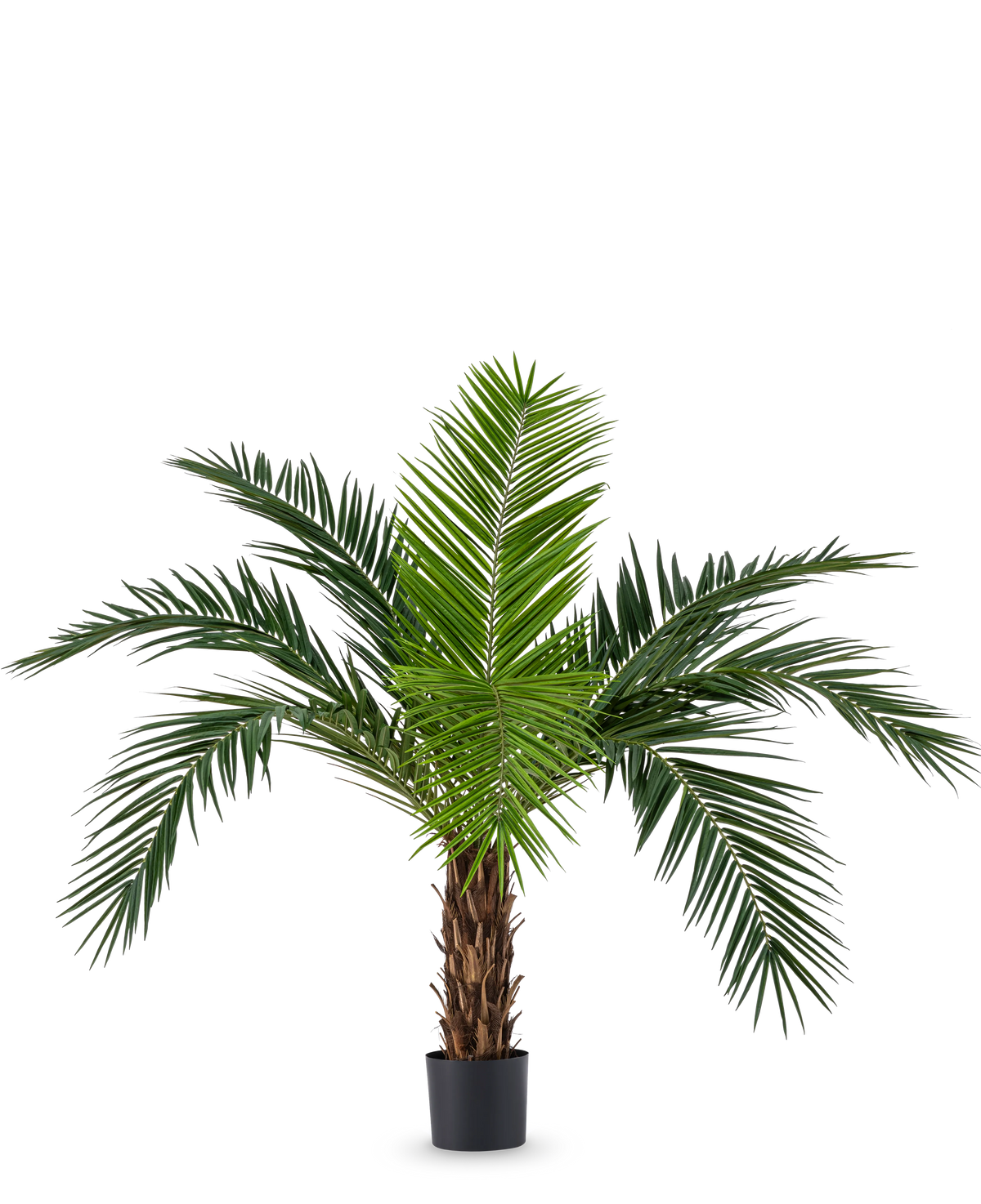 De Kunstpalm Phoenix Canarie 160 cm met lange groene bladeren en tropische uitstraling staat in een pot tegen een witte achtergrond. Deze kunstpalm brengt direct een tropisch sfeertje in elke ruimte.