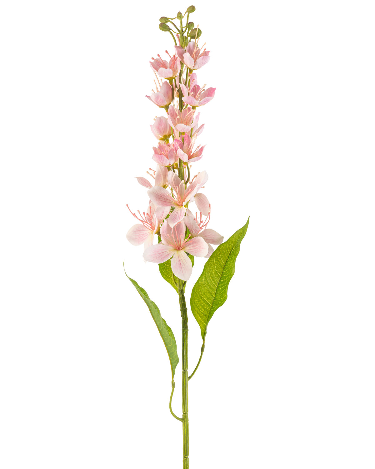 Een enkele Kunstbloem Aziatische appel 84 cm roze met lichtroze bloemen en slanke groene bladeren, verticaal gerangschikt tegen een witte achtergrond.