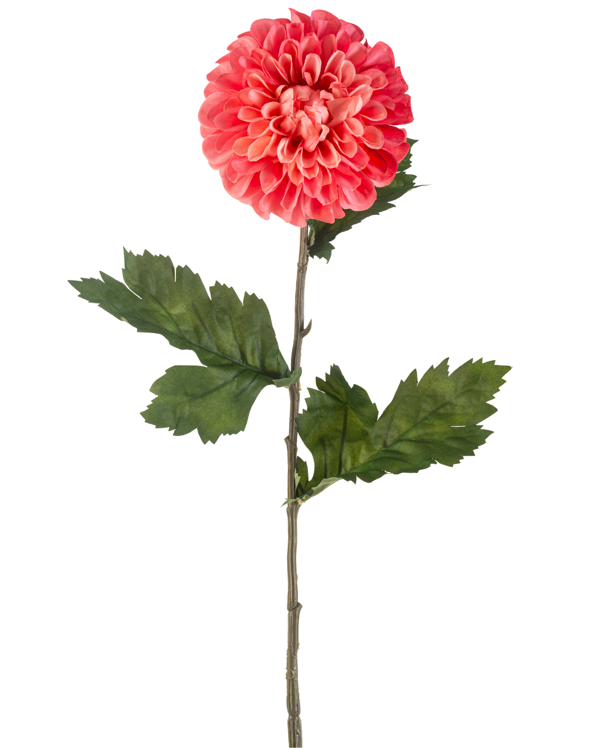 De Kunstbloem Dahlia 75 cm rood is een enkele kunstmatige rode dahlia bloem met gelaagde bloemblaadjes en verschillende groene blaadjes op een lange groene steel, geïsoleerd op een witte achtergrond.