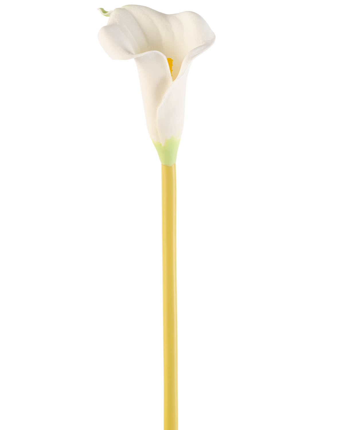 De Kunstbloem Calla 64 cm crème is een enkele kunstmatige witte calla lelie met een lange gele steel, tegen een effen witte achtergrond.