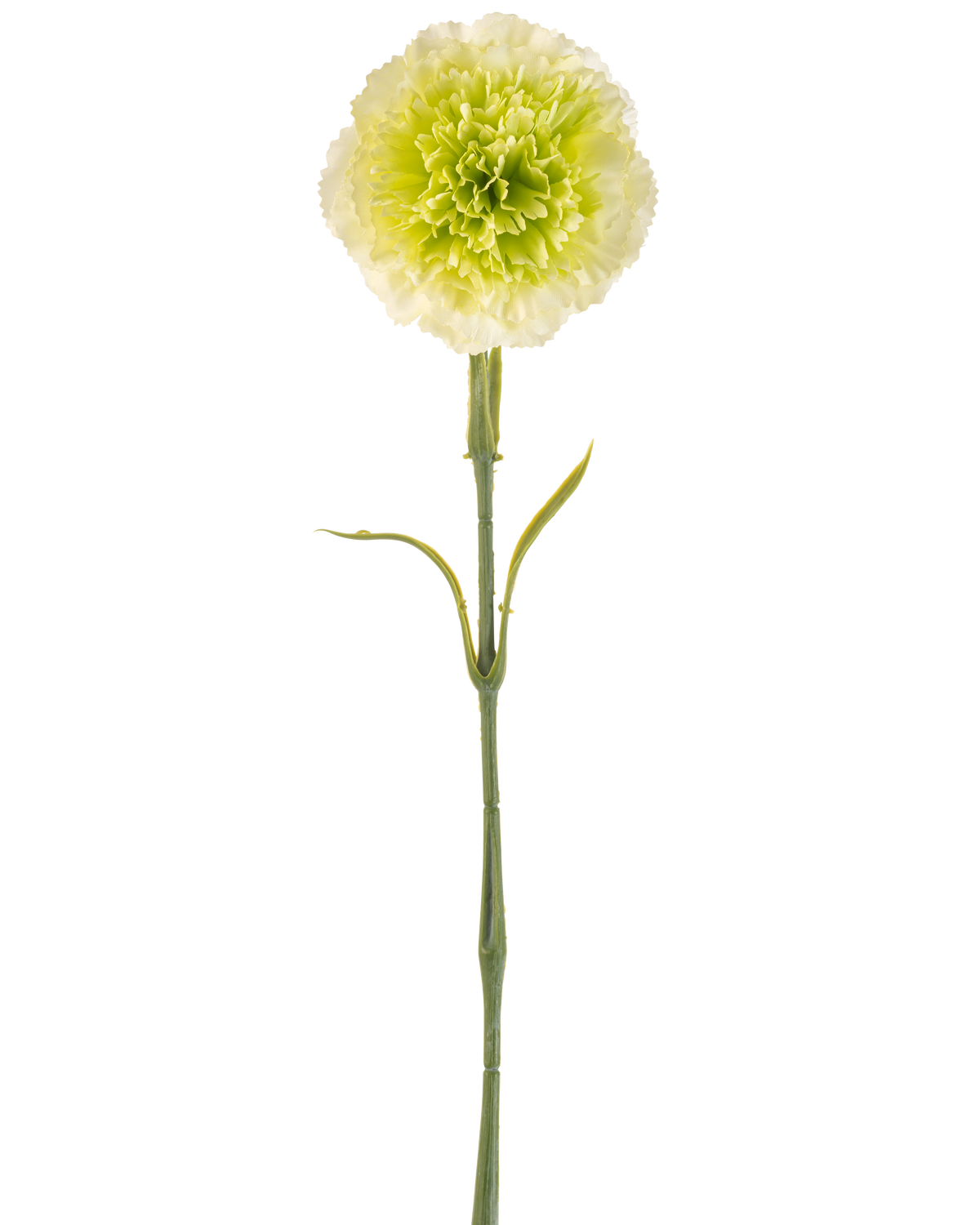 De Kunstbloem Anjer 57 cm lichtgroen is een kunstmatige lichtgroene anjer met ruches in de bloemblaadjes en een lange steel, afgebeeld tegen een effen witte achtergrond.