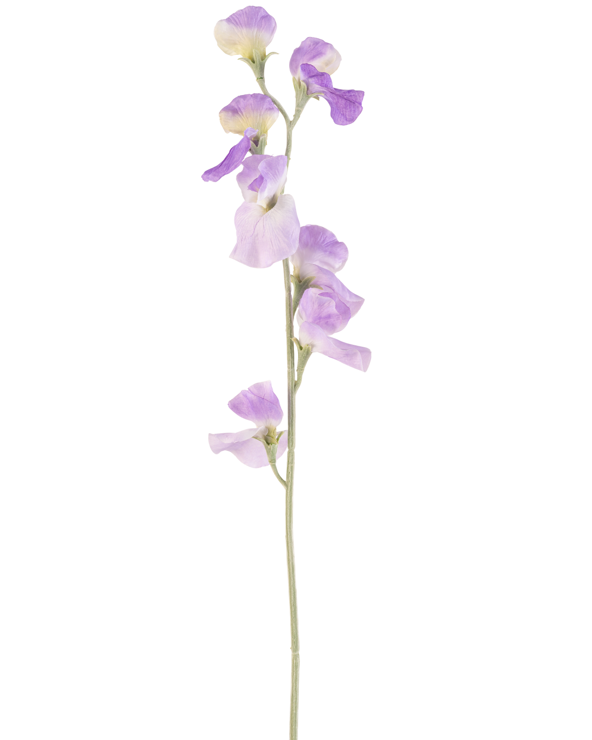 Een enkele Kunstbloem Erwt 64 cm lila met delicate lichtpaarse bloemblaadjes en groene bladeren, geïsoleerd op een witte achtergrond.