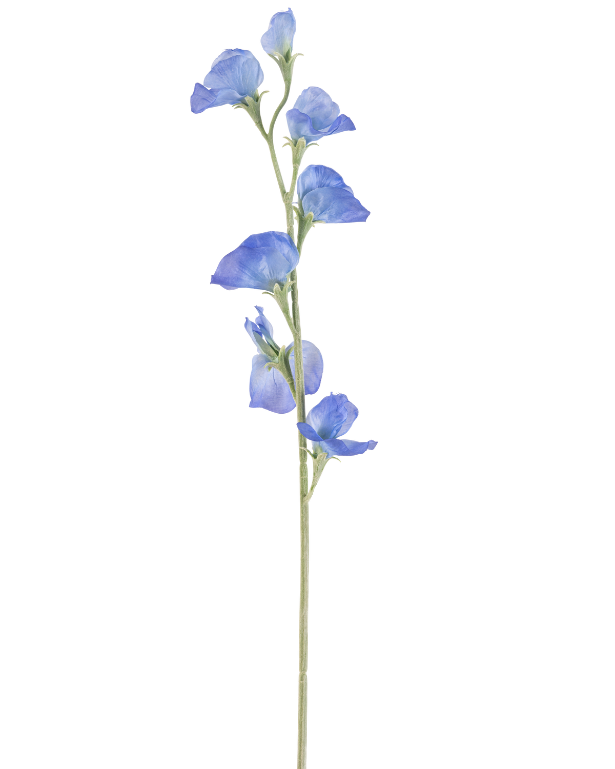 De Kunstbloem Erwt 64 cm blauw heeft een enkele slanke groene steel met verschillende delicate blauwe bloemen en groene knoppen verspreid over de lengte, tegen een effen witte achtergrond.