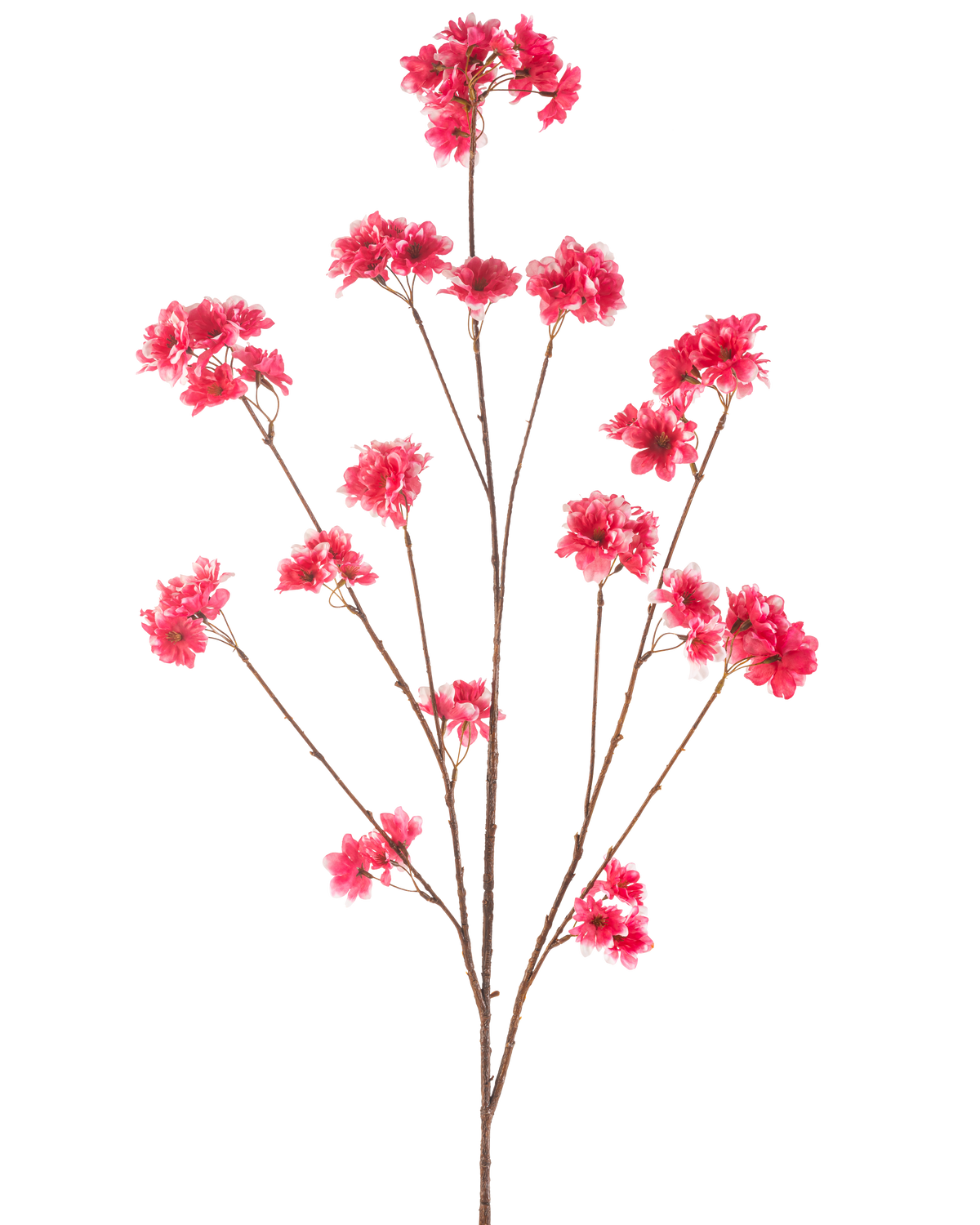 De Kunstbloem Kersenbloesem 130 cm fuchsia heeft een enkele steel met meerdere dunne bruine takken, elk versierd met clusters van levendige fuchsia kunstkerstbloesem bloemen, tegen een effen witte achtergrond.