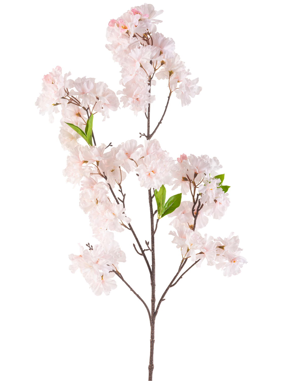 De Kunstbloem Kersenbloesem 119 cm blush heeft een enkele kersenbloesemtak met trosjes lichtroze bloemen en een paar groene blaadjes tegen een witte achtergrond.