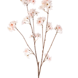 De Kunstbloem Kersenbloesem 114 cm blush heeft een enkele bruine steel met verschillende takken met daarop delicate, blushroze kersenbloesem bloemen, prachtig geïsoleerd op een witte achtergrond.