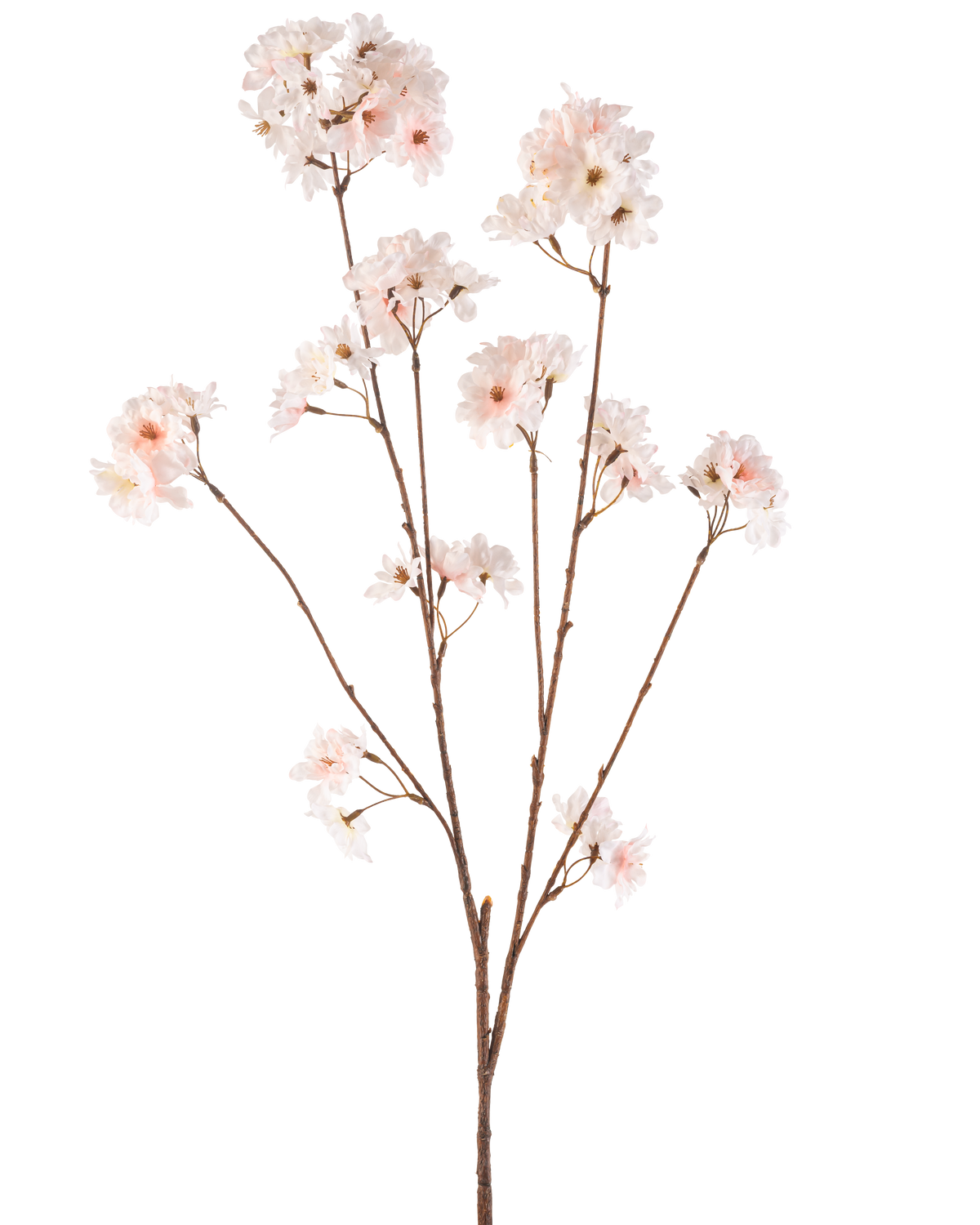 De Kunstbloem Kersenbloesem 114 cm blush heeft een enkele bruine steel met verschillende takken met daarop delicate, blushroze kersenbloesem bloemen, prachtig geïsoleerd op een witte achtergrond.