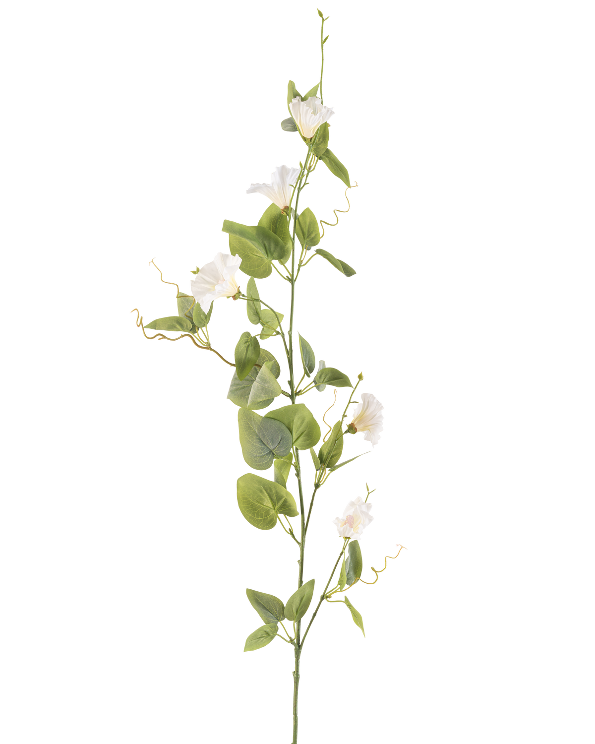 De Kunstbloem Winde 122 cm wit heeft een enkele steel met kleine witte bloemen, groene bladeren en gekrulde ranken tegen een effen witte achtergrond.