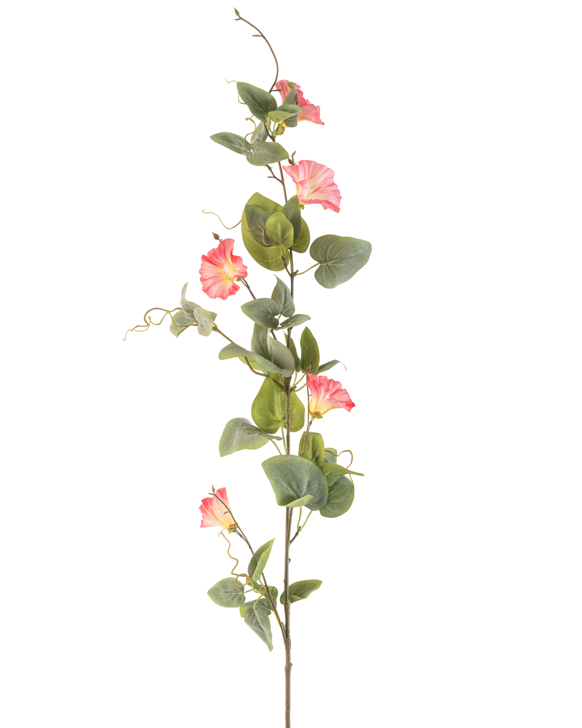 De Kunstbloem Winde 122 cm roze heeft een enkele hoge steel met groene bladeren, meerdere roze trompetvormige bloemen en krullende ranken tegen een witte achtergrond.