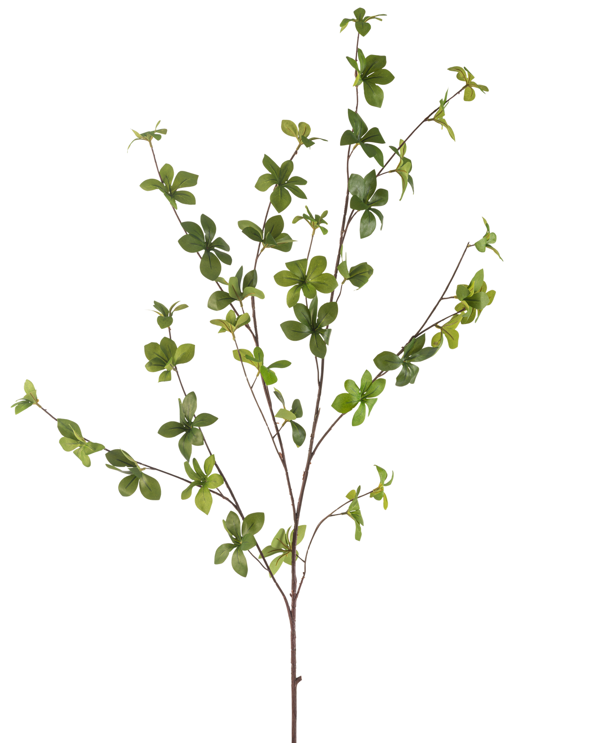 De Kunstbloem Enkianthus 119 cm groen heeft een enkele, slanke tak met meerdere uitlopers en kleine, levendige groene bladeren, geïsoleerd op een witte achtergrond.