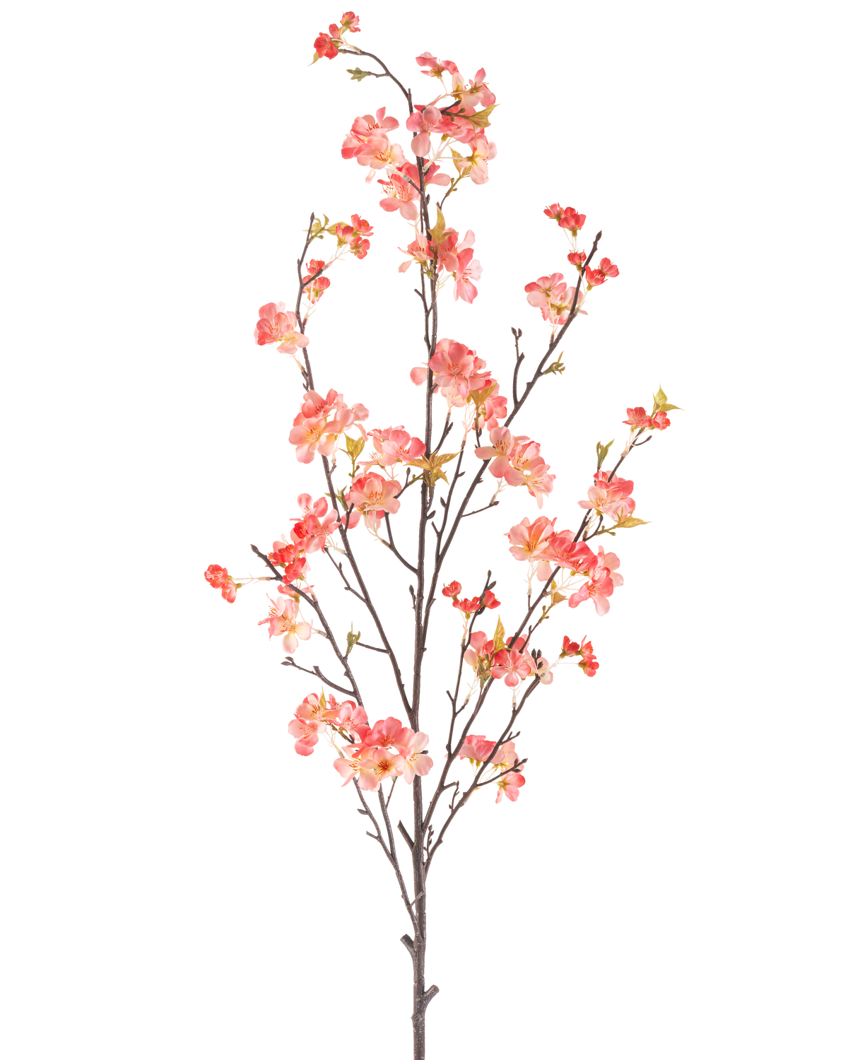 De Kunstbloem Kersenbloesem 150 cm perzik heeft een enkele hoge tak met meerdere dunne stengels, versierd met trosjes kleine roze en rode bloesems en een paar groene bladeren, tegen een effen witte achtergrond.