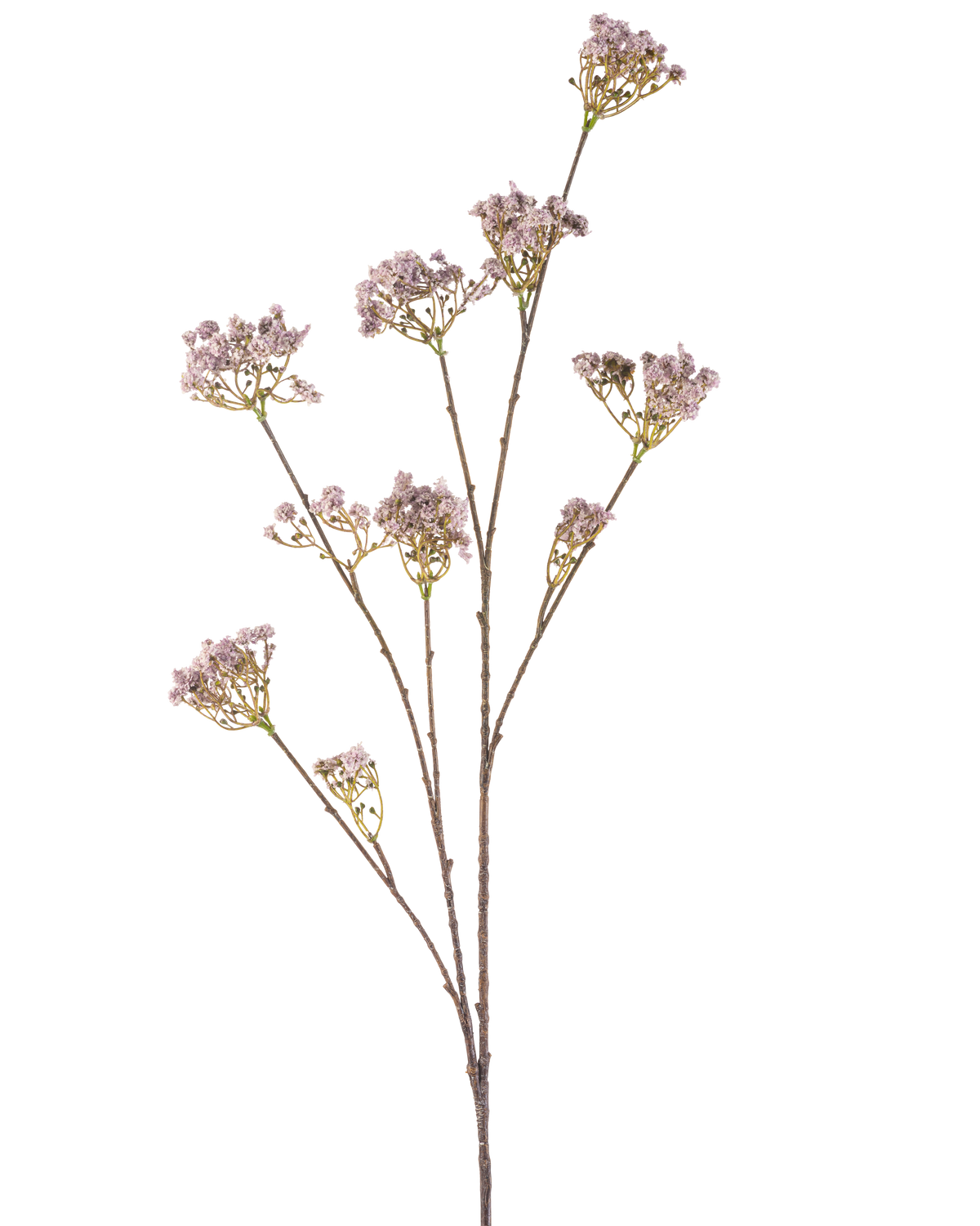 De Kunstbloem Gipskruid 112 cm lila heeft een slanke steel met meerdere takken, elk versierd met trosjes delicate lichtpaarse bloemen, tegen een effen witte achtergrond.