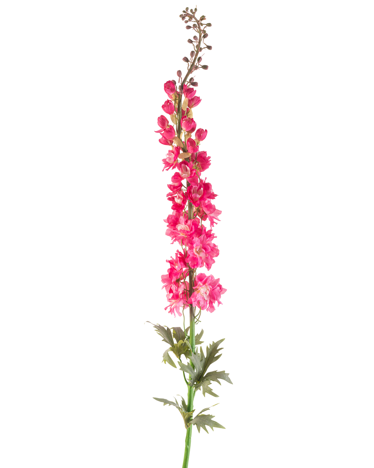Een enkele Kunstbloem Ridderspoor 137 cm in felroze met groene bladeren, geïsoleerd op een witte achtergrond.