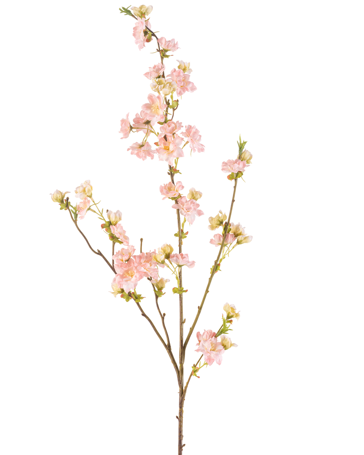 De Kunstbloem Kersenbloesem 94 cm lichtroze heeft een enkele tak met meerdere uitlopers, versierd met trossen delicate lichtroze kersenbloesems en groene knoppen, tegen een effen witte achtergrond.