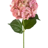 De Kunstbloem Hortensia 75 cm roze heeft een enkele roze hortensia bloem met fijne bloemblaadjes en twee grote groene bladeren op een lange groene steel, tegen een witte achtergrond.