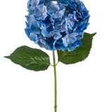 De Kunstbloem Hortensia 75 cm blauw heeft een enkele blauwe hortensiasteel met een ronde tros bloemblaadjes en twee grote groene bladeren op een effen witte achtergrond.