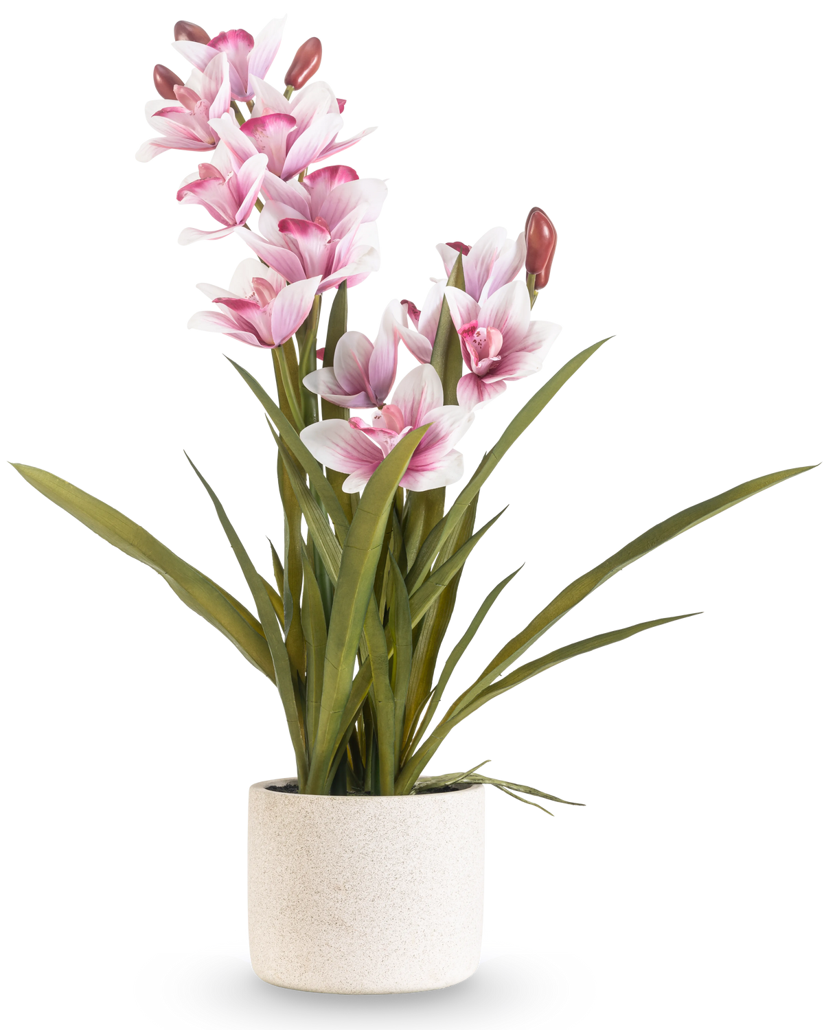 De Kunst Cymbidium Real Touch 60 cm roze heeft lange groene bladeren en meerdere roze en witte orchideeën op lange stelen, gerangschikt in een eenvoudige off-white pot met textuur tegen een effen achtergrond.