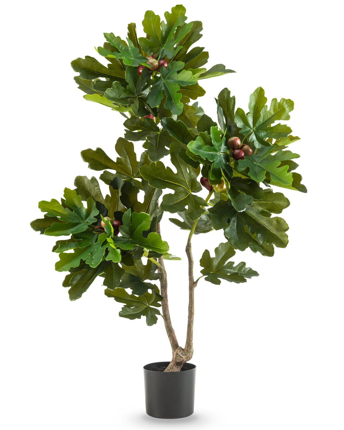 De Kunstplant Ficus Carica Vijgenboom 120 cm heeft weelderige groene bladeren en kleine bruine vruchten in een zwarte pot, tegen een effen witte achtergrond.