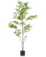 De Kunstplant Terminalia Catappa 150 cm is een hoge kunstboom in pot met meerdere slanke takken en groene bladeren in een eenvoudige zwarte pot tegen een effen witte achtergrond.