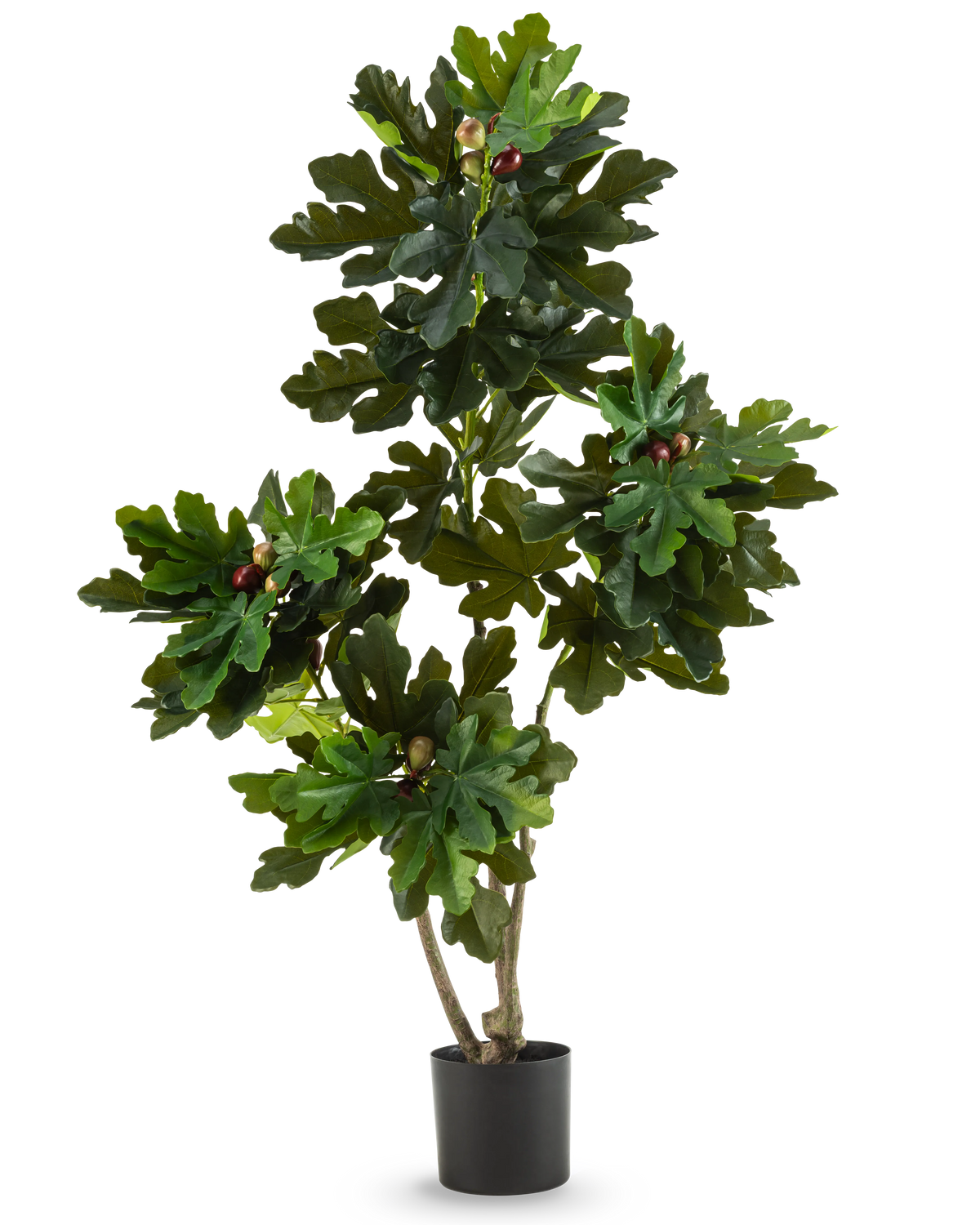 De Kunstplant Ficus Carica Vijgenboom 150 cm is een kunstvijgenboom in pot met meerdere takken, grote groene bladeren en kleine donkerpaarse nepvijgen in een eenvoudige zwarte pot tegen een effen witte achtergrond.